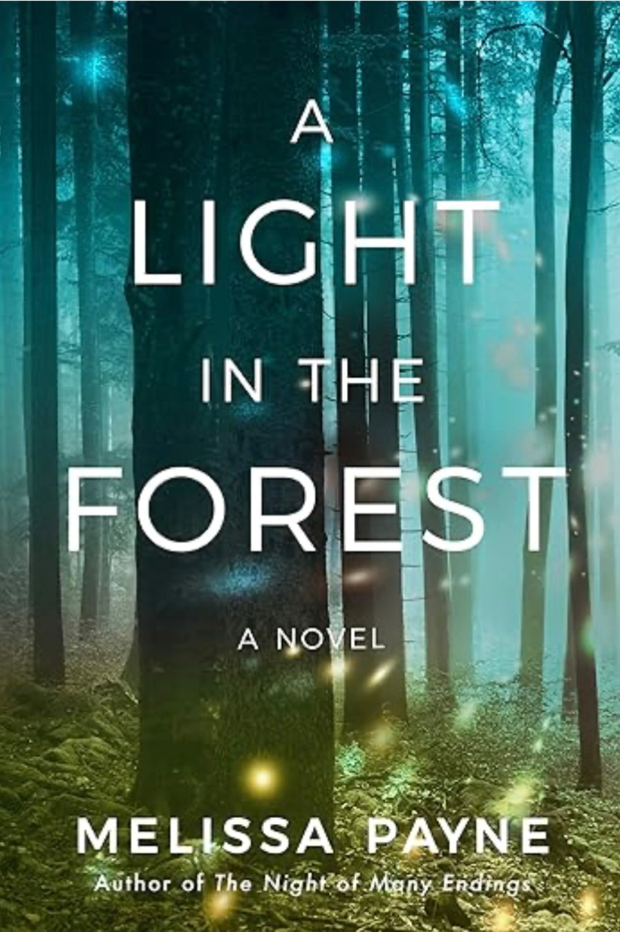 A Light In the Forest